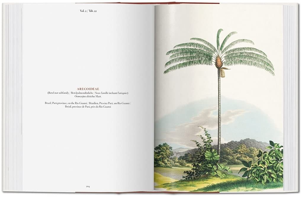  The Book Of Palms_H. Walter Lack_9783836556231_Taschen 