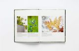  Wild About Weeds_Jack Wallington_9781786275301_Laurence King Publishing 