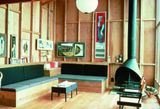  Beach Houses: Andrew Geller 