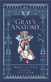  Gray'S Anatomy 
