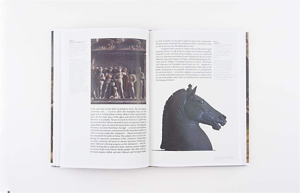  Italian Renaissance Courts_Alison Cole_9781780677408_Laurence King Publishing 