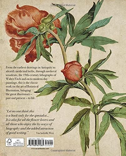 The Art of Botanical Illustration