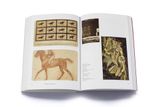  A History of Pictures : From the Cave to the Computer Screen 
