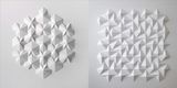  Unfolding: The Paper Art and Science of Matthew Shlian 