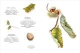  Remarkable Trees 