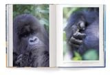  Big : A Photographic Album of the World's Largest Animals 