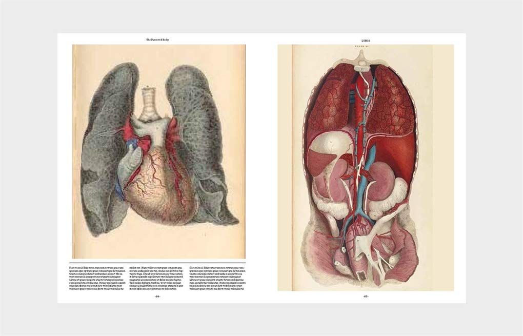  Anatomica : The Exquisite and Unsettling Art of Human Anatomy_Joanna Ebenstein_9781786275714_Laurence King Publishing 