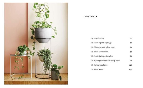Plant Style : How to greenify your space