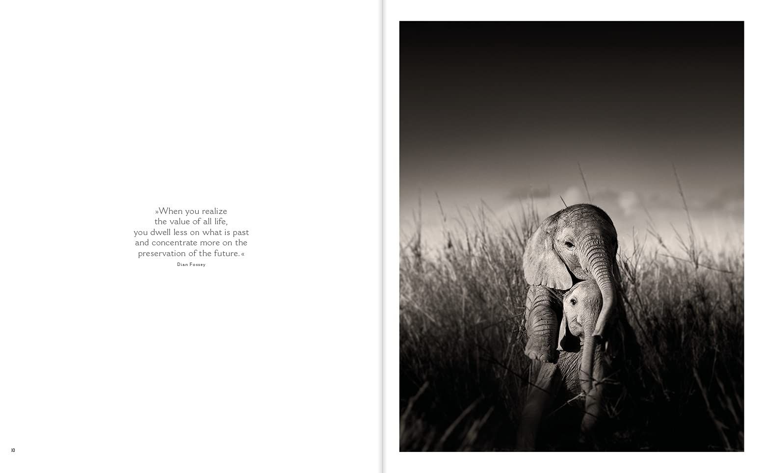  Last of Their Kind_Joachim Schmeisser_9783961712793_teNeues Publishing UK Ltd 