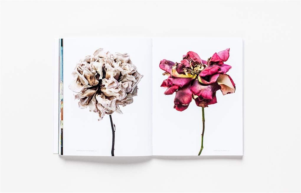  The Book of the Flower : Flowers in Art_ Angus Hyland_9781786272454_Laurence King Publishing 