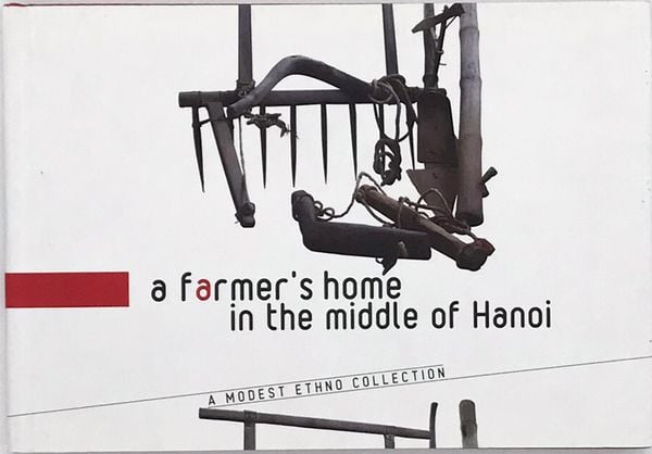 A Farmer's Home In The Middle Of Hanoi