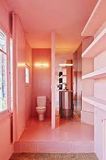 Who's Afraid of Pink, Orange, and Green? : Colourful Living & Interiors _Lannoo_9789401453936_Author  Irene Schampaert ,   Iris de Feijter 