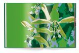  Orchids 