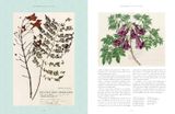  Kew - Rare Plants: The world's unusual and endangered plants 