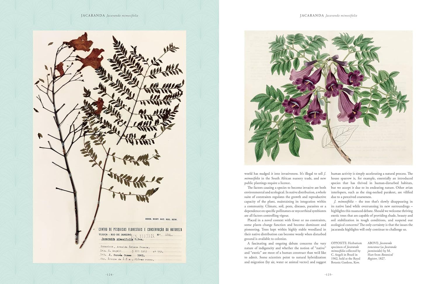  Kew - Rare Plants: The world's unusual and endangered plants 