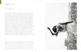  Photobox: The Essential Collection 