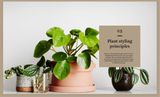  Plant Style : How to greenify your space 