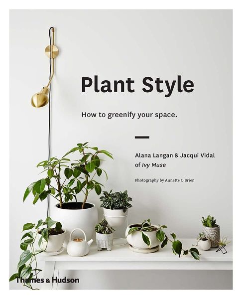 Plant Style : How to greenify your space