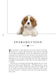  The Dog: A Book That Transforms Into a Work of Art 