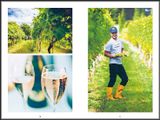  Sparkling Wine : The Vineyards Of England & Wales_Stewart Wilde_9781851499052_ACC Art Books 