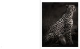  Last of Their Kind_Joachim Schmeisser_9783961712793_teNeues Publishing UK Ltd 