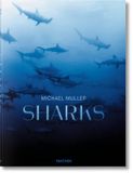  Michael Muller. Sharks 