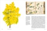  Remarkable Trees 