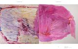  Australian Abstract 