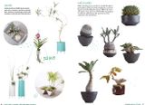  A Beginner's Guide to House Plants: Creating Beautiful and Healthy Green Spaces in Your Home 