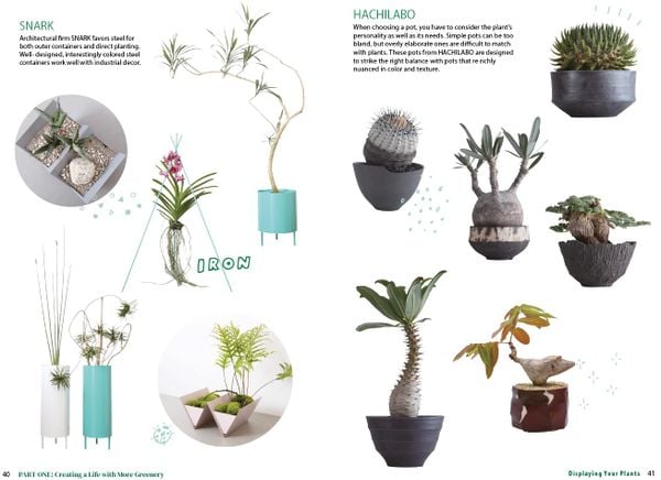 A Beginner's Guide to House Plants: Creating Beautiful and Healthy Green Spaces in Your Home