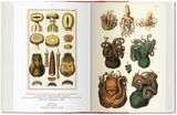  Seba. Cabinet of Natural Curiosities. 40th Ed. 