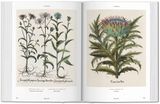  Basilius Besler’s Florilegium: The Book of Plants_Klaus Walter Littger_9783836557870_Taschen 