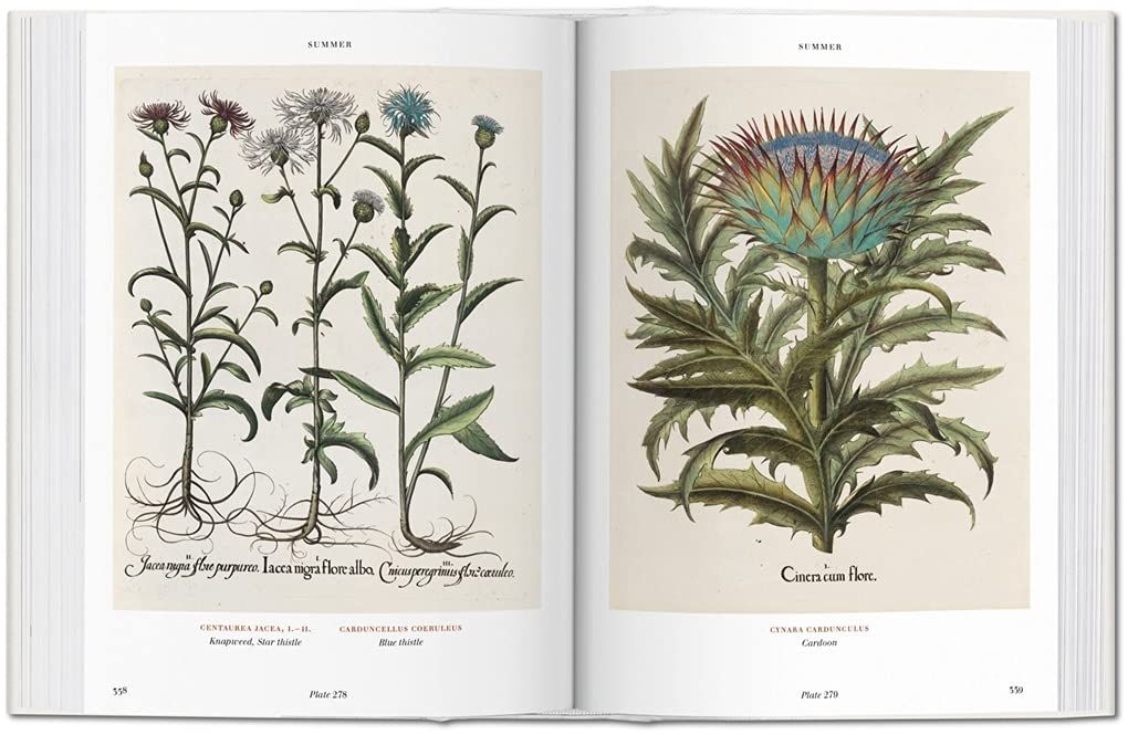  Basilius Besler’s Florilegium: The Book of Plants_Klaus Walter Littger_9783836557870_Taschen 