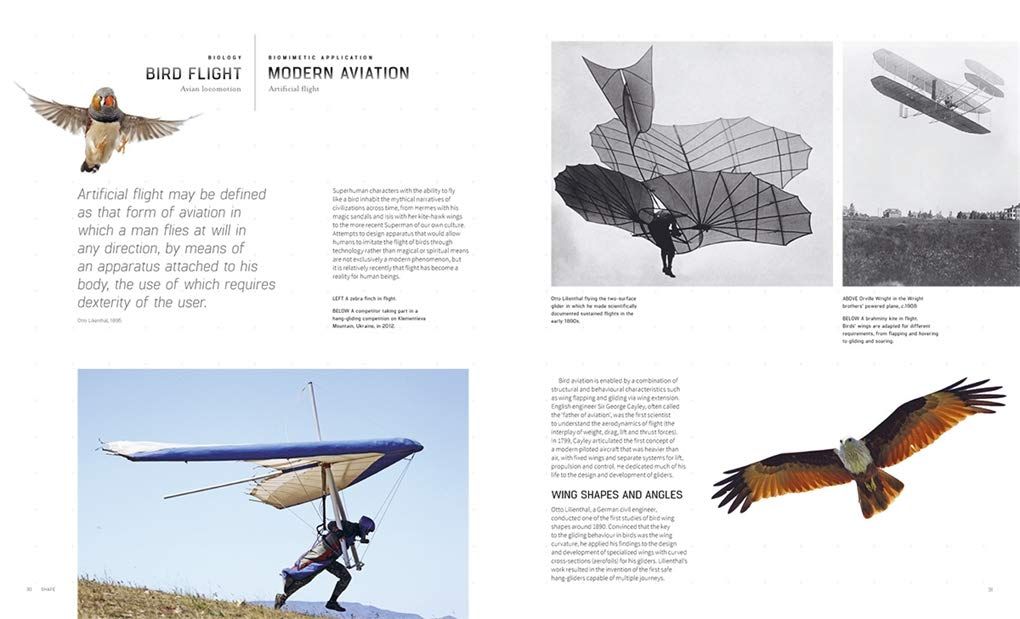  Biomimicry for Designers 