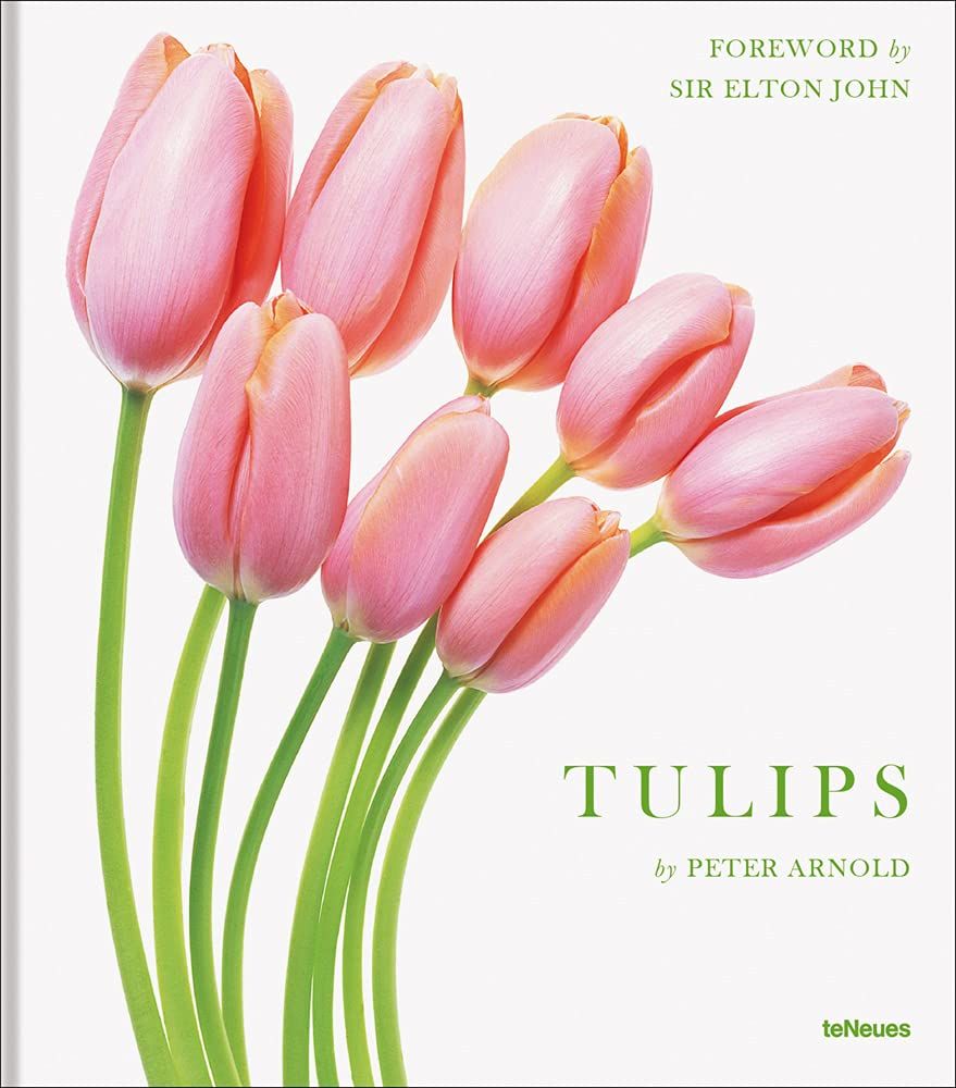  TULIPS 