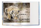  Big : A Photographic Album of the World's Largest Animals 