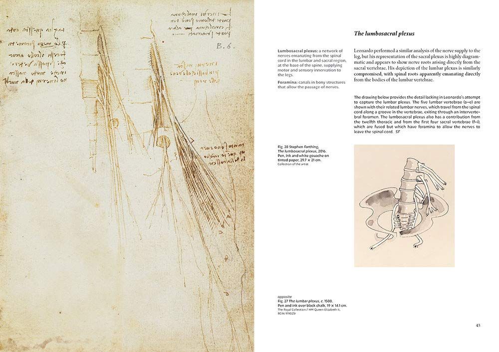  Leonardo da Vinci : Under the Skin_Stephen Farthing_9781912520091_Royal Academy of Arts 