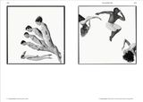  Body : The Photobook 
