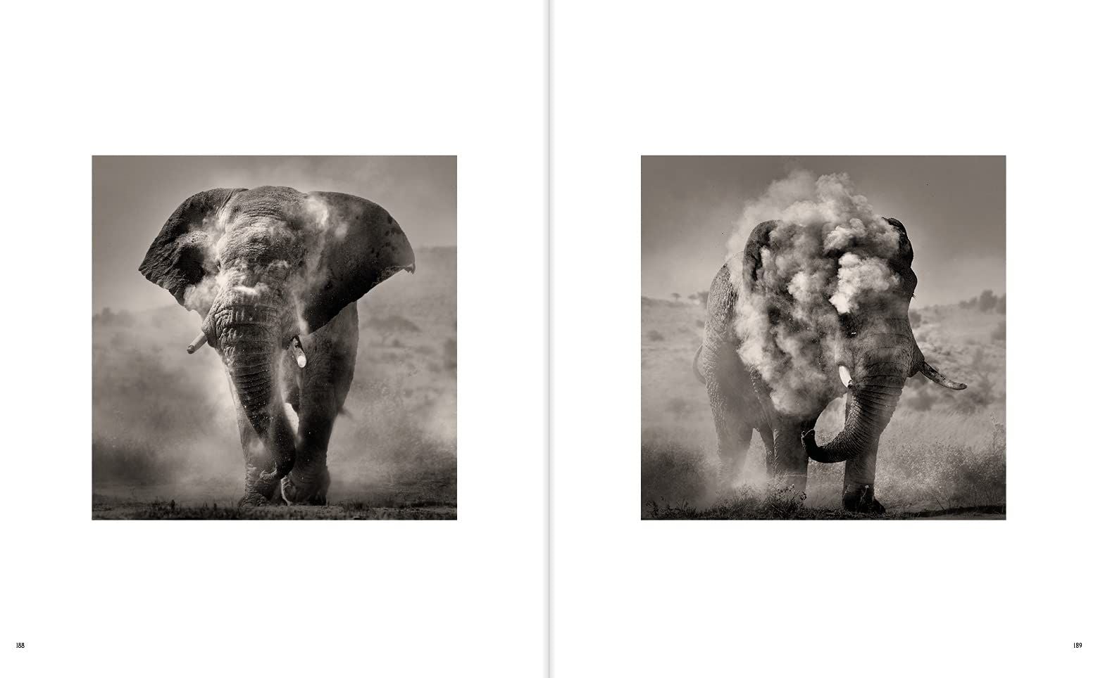  Last of Their Kind_Joachim Schmeisser_9783961712793_teNeues Publishing UK Ltd 