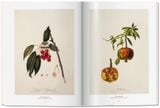  A Garden Eden. Masterpieces of Botanical Illustration 