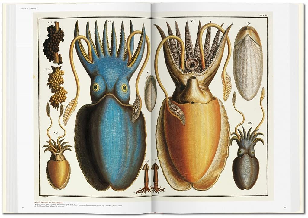  Seba: Cabinet Of Natural Curiosities _Irmgard Müsch_9783836569064_Taschen 