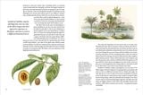  Remarkable Trees 