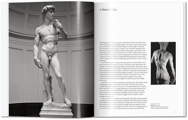Michelangelo - Gilles Neret - 9783836530347 - Taschen