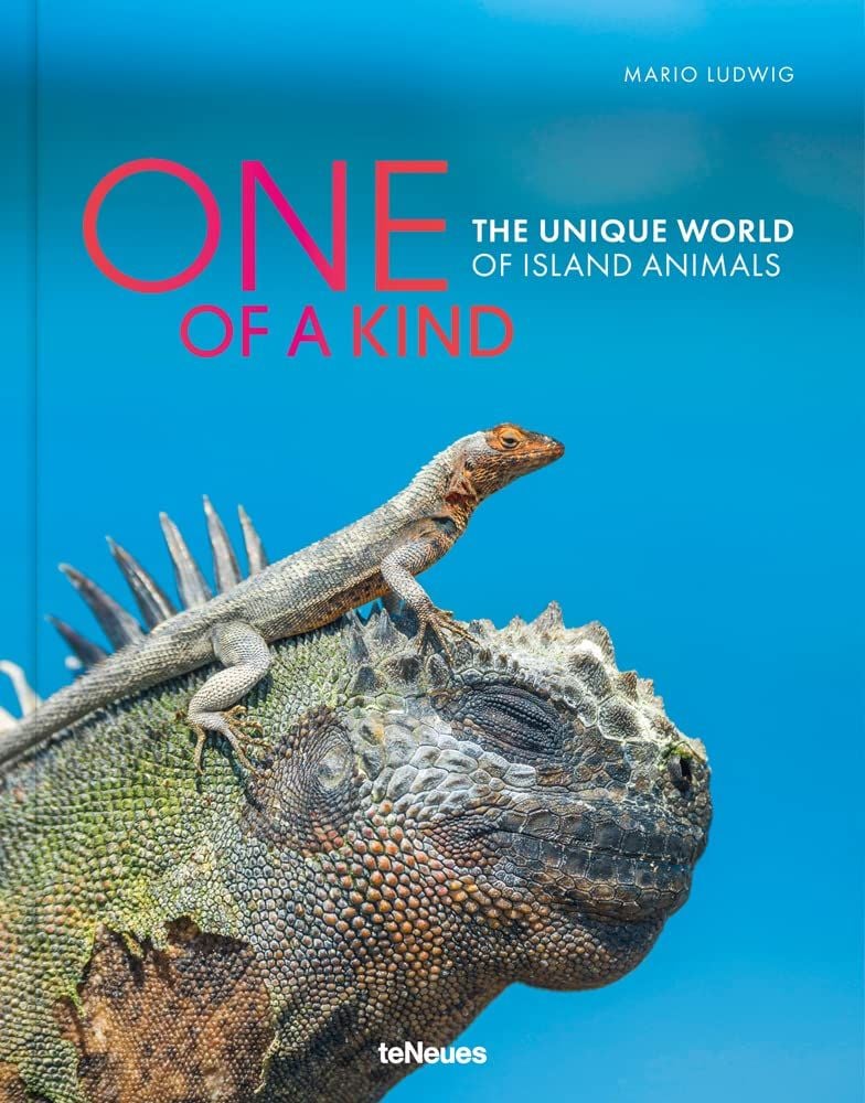 One of a Kind : The Unique World of Island Animals – ARTBOOK One of a Kind : The Unique World of Island Animals – ARTBOOK
