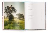  Sacred Spaces: The Holy Sites of Buddhism 