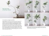  A Beginner's Guide to House Plants: Creating Beautiful and Healthy Green Spaces in Your Home 