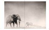  Last of Their Kind_Joachim Schmeisser_9783961712793_teNeues Publishing UK Ltd 