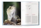  One of a Kind : The Unique World of Island Animals 