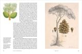  Remarkable Trees 