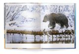  Big : A Photographic Album of the World's Largest Animals 